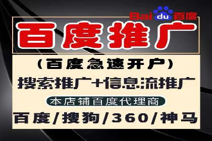 成功案例分享：Sem优化公司助力品牌增长